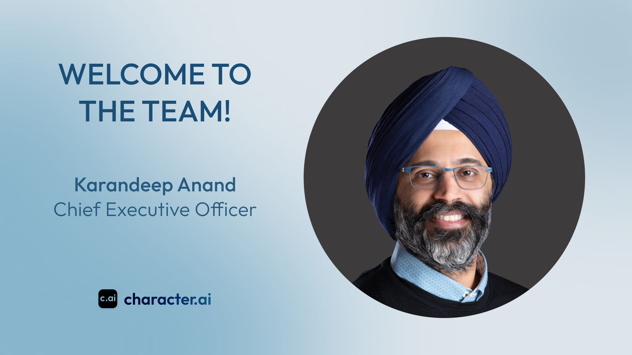 Character.AI Names    Karandeep Anand as CEO